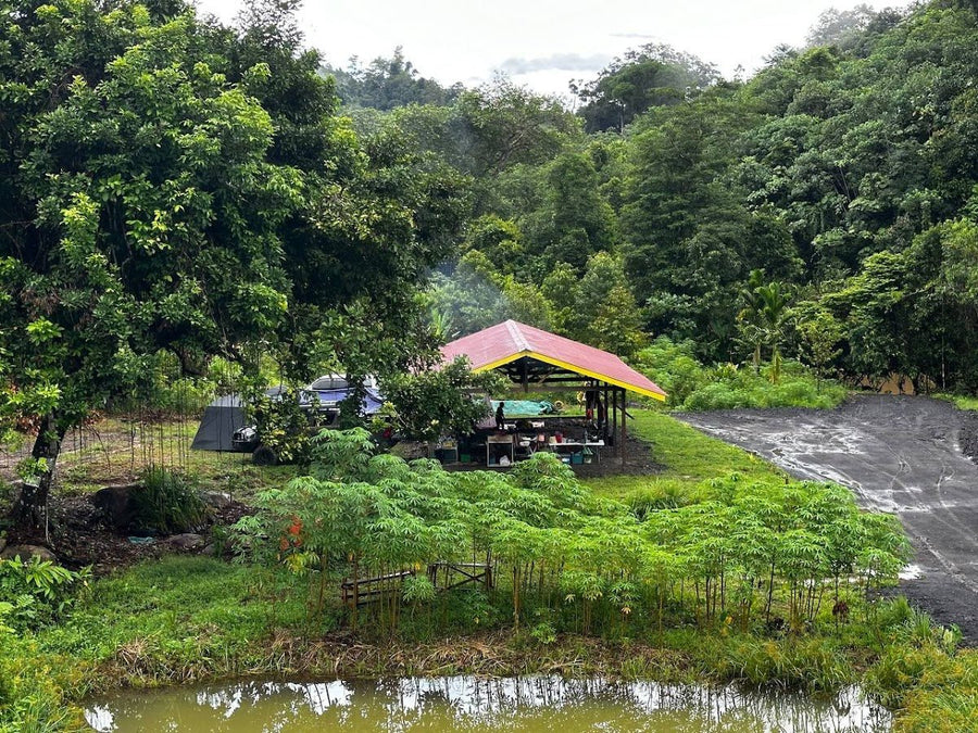 Paong Campsite, Long Apu — One of Sarawak's Best-Kept Secrets - TAHAN Outdoor