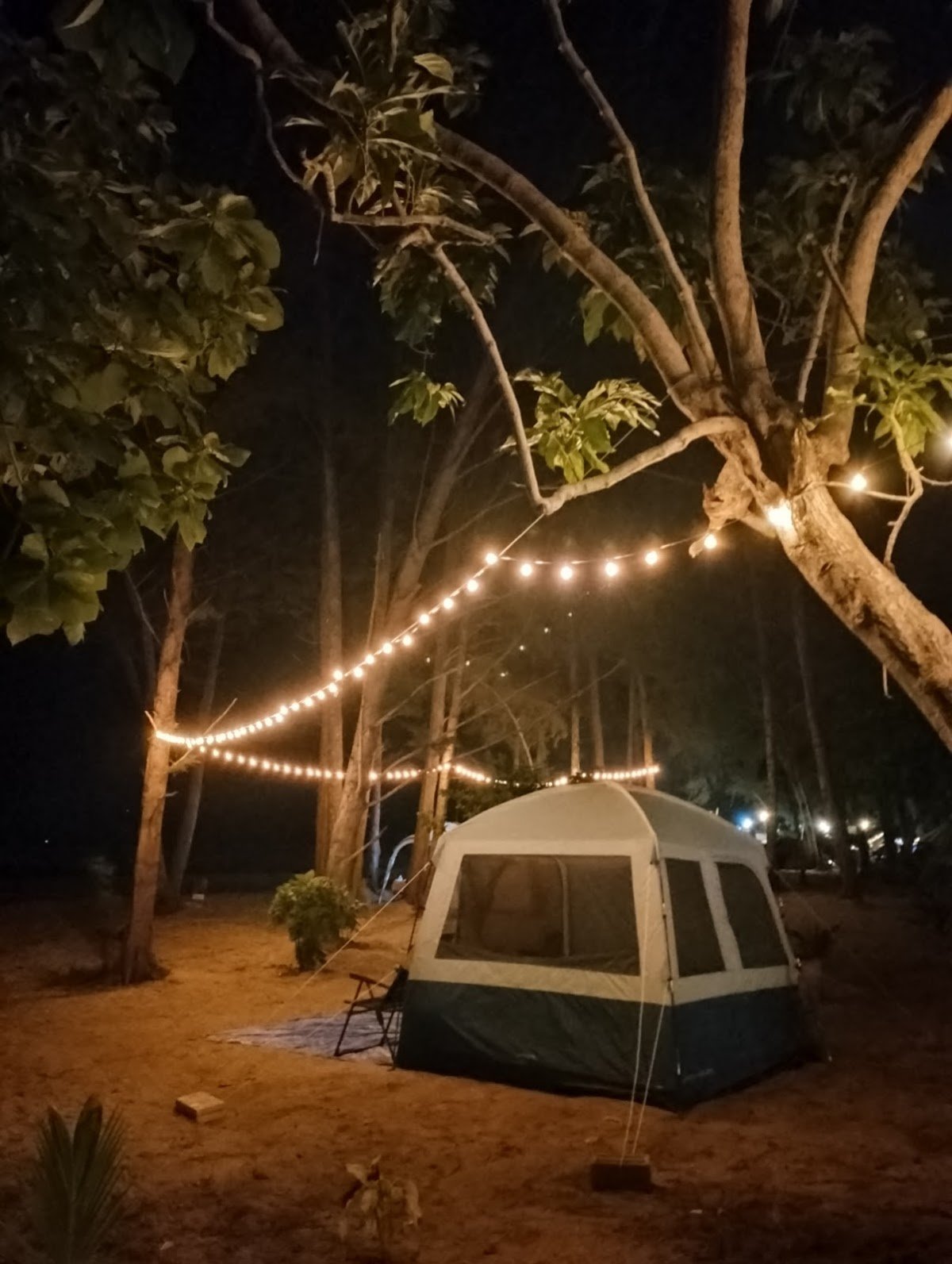 Pet-Friendly Camping Site in Malaysia - TAHAN Outdoor