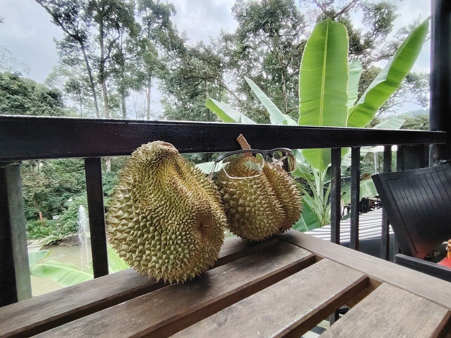 Pusat Latihan Dan Rekreasi Lembah Irfan Ahza — A Green Escape Right Inside KL - TAHAN Outdoor