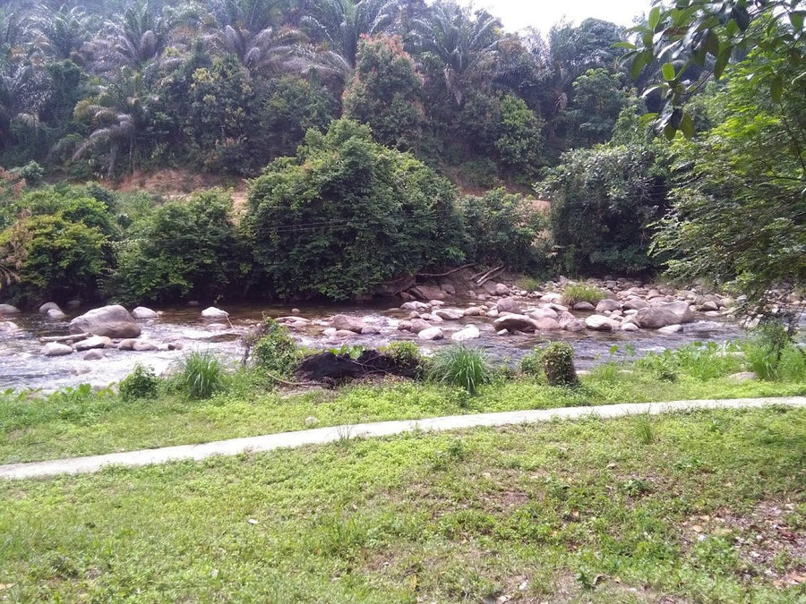 Recreation Camp River Sedim, Kulim — A Solid Riverside Escape in Kedah - TAHAN Outdoor