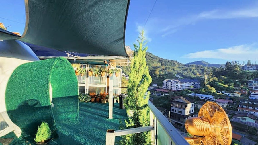 Sameer Glamping (森米营) Cameron Highlands — A Cosy Hilltop Stay That's Dog-Friendly Too - TAHAN Outdoor