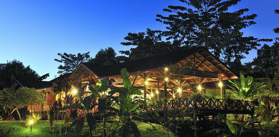 Sepilok Forest Edge Resort — Jungle Vibes, Wildlife on Your Balcony, and Yes, the Pool Might Be Down - TAHAN Outdoor