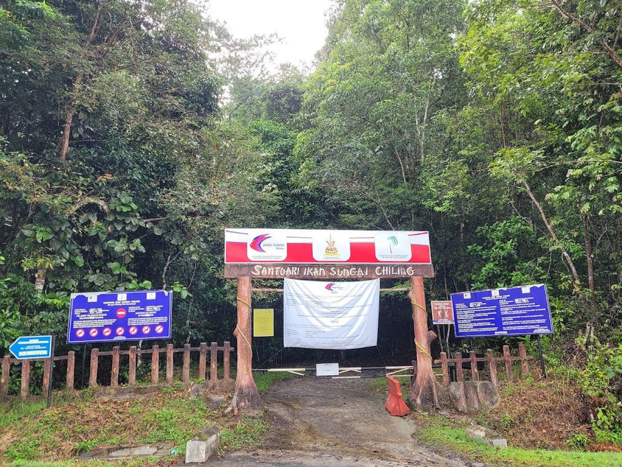 Sg Chiling Campsite Review — Is It Worth the River Crossings? - TAHAN Outdoor
