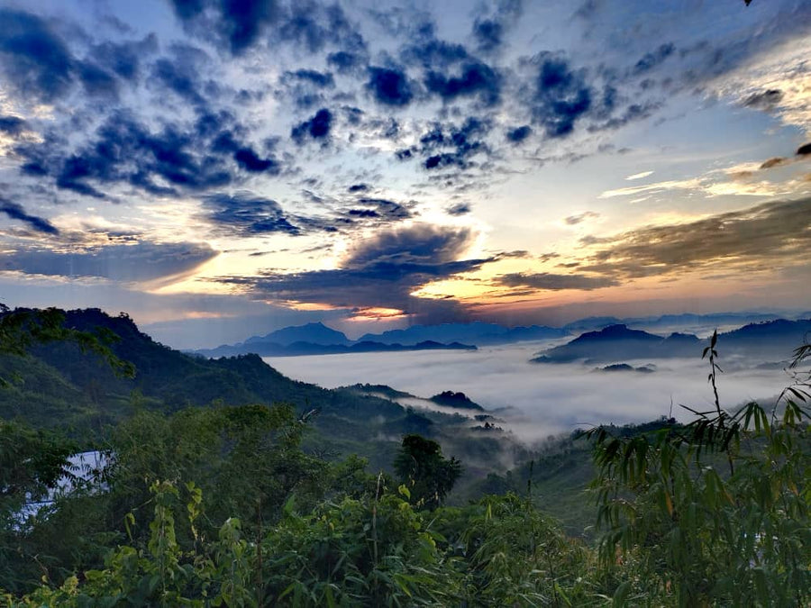 Shiroh Chalet & Campsite, Kampung Sapit — Glamping in the Jungle with a Side of Durian - TAHAN Outdoor