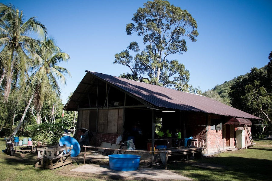 Shittim Camp, Tamparuli — River Camp with Real Sabah Hospitality - TAHAN Outdoor