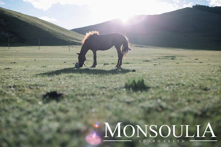 Solo Travel To Mongolia With Adib Harith - TAHAN Outdoor