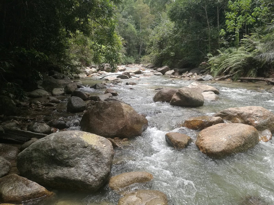 Sungai Chiling Waterfall: A Hiker's Guide (2026) - TAHAN Outdoor