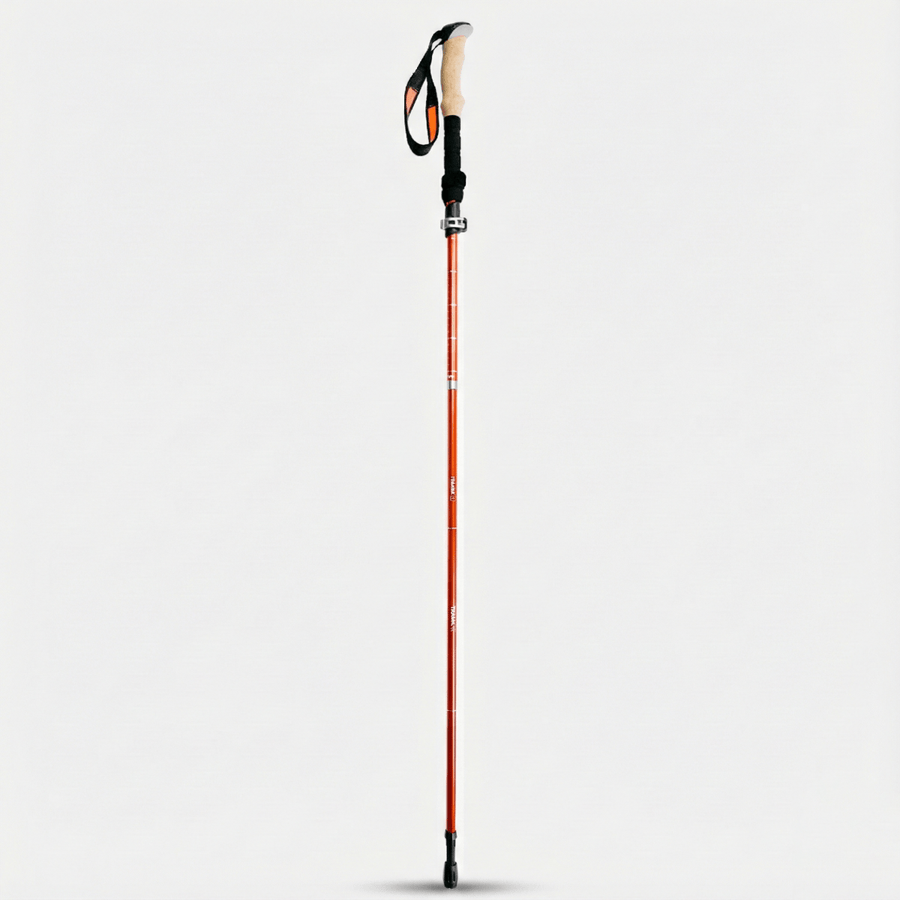 How to Choose and Use Trekking and Hiking Poles
