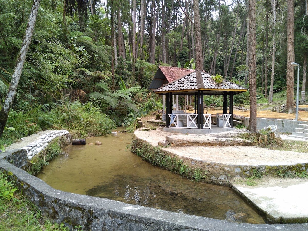 Taman Eko Rimba Sungai Pauh — Cameron Highlands Camping That's Actually Worth It - TAHAN Outdoor