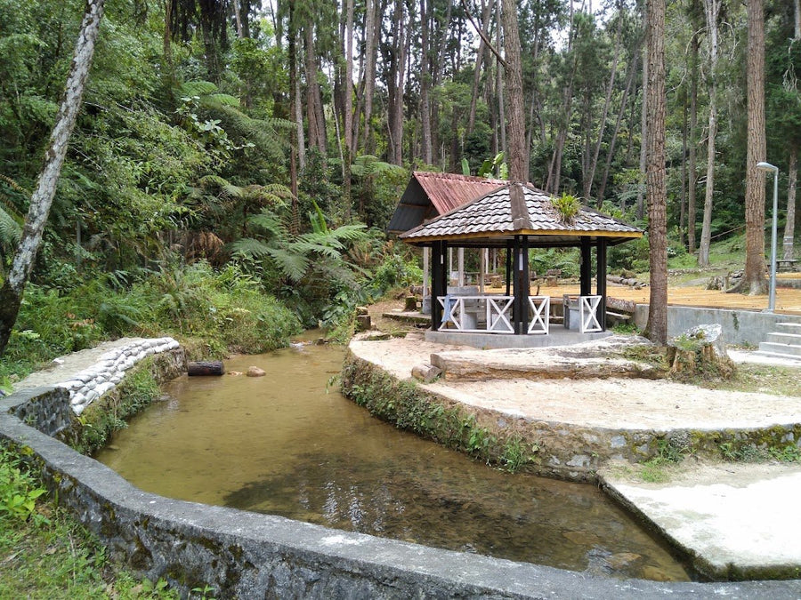 Taman Eko Rimba Sungai Pauh — Cameron Highlands Camping That's Actually Worth It - TAHAN Outdoor