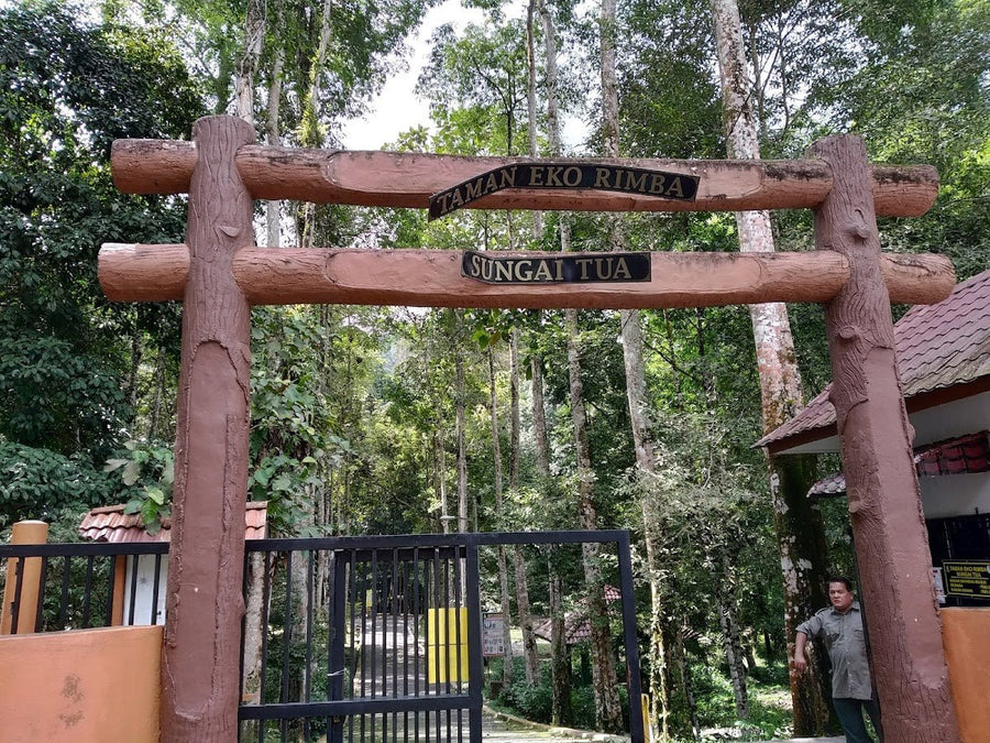 Taman Eko Rimba Sungai Tua: The Complete Waterfall Guide (2026) - TAHAN Outdoor