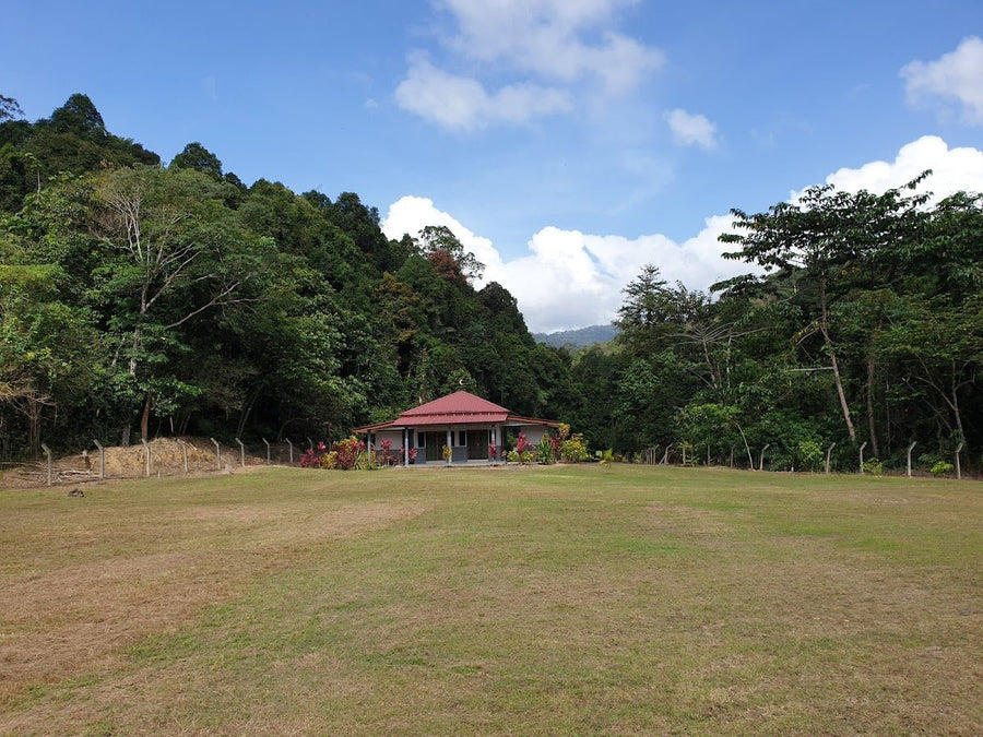 Taman Rekreasi Sungai Loh, Terengganu — Beautiful River, Battered Facilities - TAHAN Outdoor