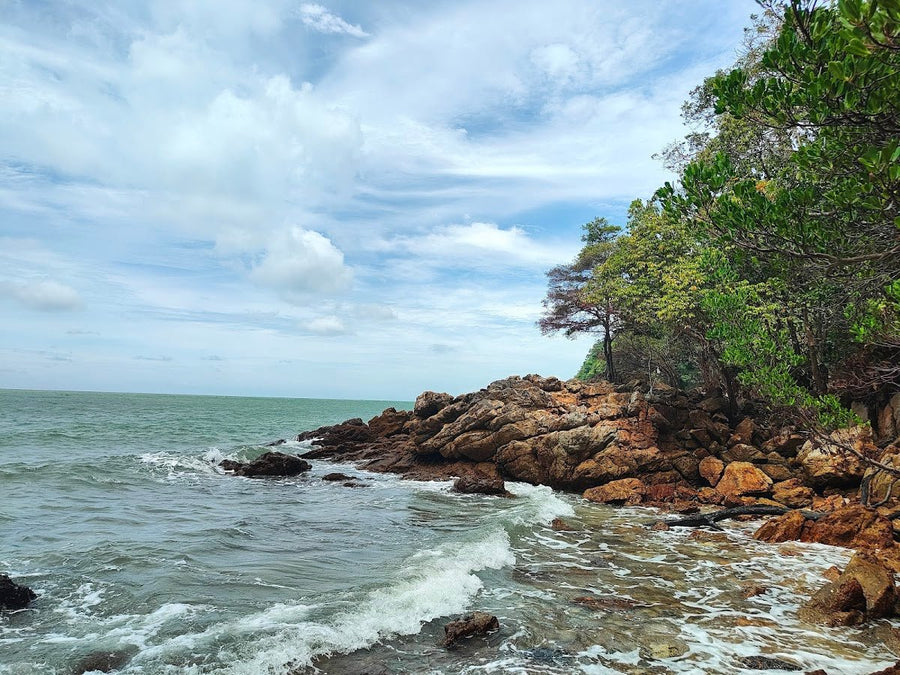 Tanjung Tuan Recreational Forest — Hike, Beach, Monkeys, No Camping Allowed - TAHAN Outdoor