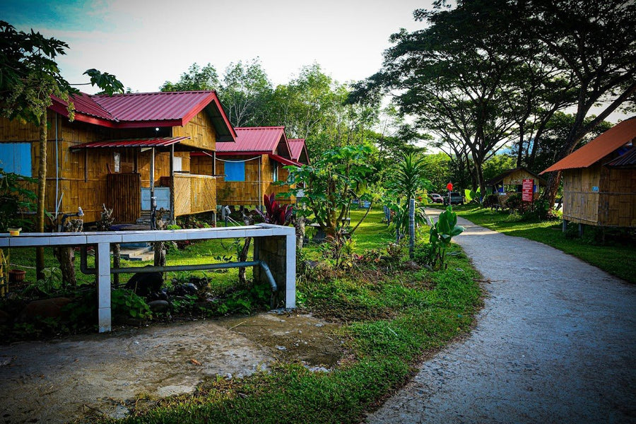 Tegudon Tourism Village (TTV) — Kampung Vibes, Mount Kinabalu Views, and Stars for Days - TAHAN Outdoor