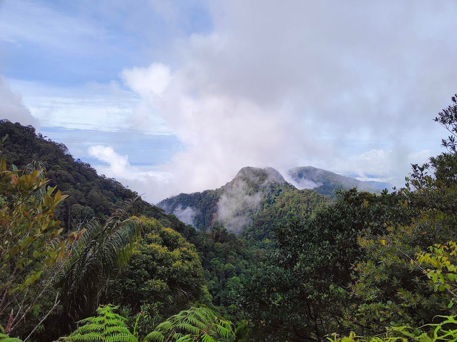 The 7 Best Hikes in Sarawak (2026) - TAHAN Outdoor