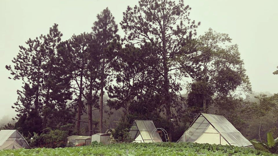 The Backyard Glamping Cameron Highlands — Glamping Done Right in the Highlands - TAHAN Outdoor