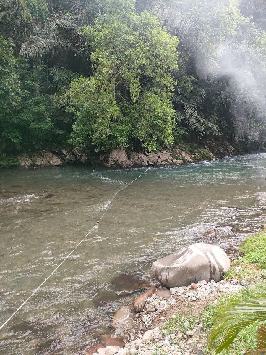 Tongkoluson Campsite, Kiulu — A Healing Spot in the Heart of Sabah - TAHAN Outdoor
