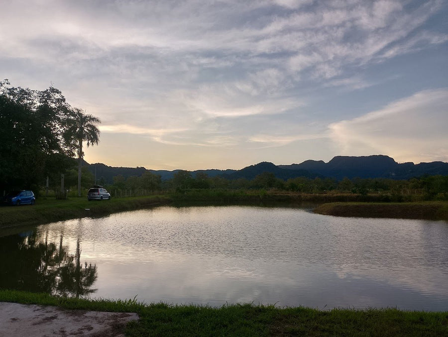 Top 5 Campsites in Perlis You Can't Miss (2026) - TAHAN Outdoor