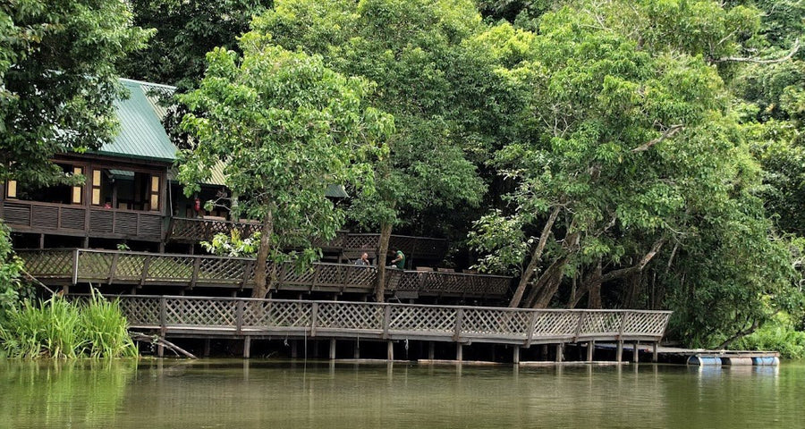 Tungog Rainforest Eco Camp, Sabah — The Most Honest Jungle Stay in Kinabatangan - TAHAN Outdoor