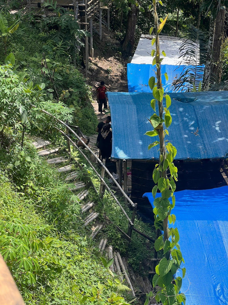 Y Riverside Padawan — The Chill Sarawak Spot You Didn't Know You Needed - TAHAN Outdoor