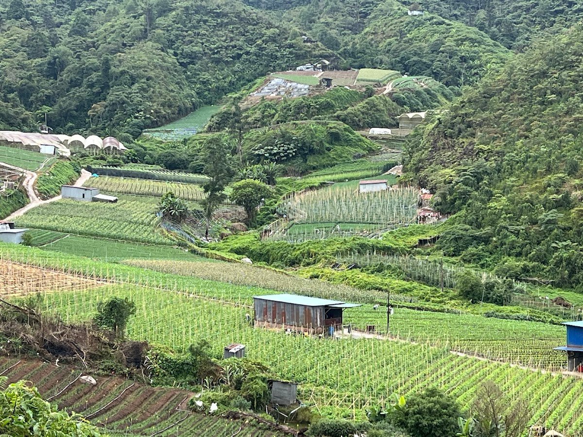 Zakka Campsite, Ringlet — Great Views, Terrible Flies - TAHAN Outdoor
