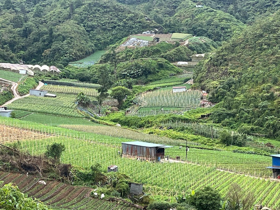 Zakka Campsite, Ringlet — Great Views, Terrible Flies - TAHAN Outdoor