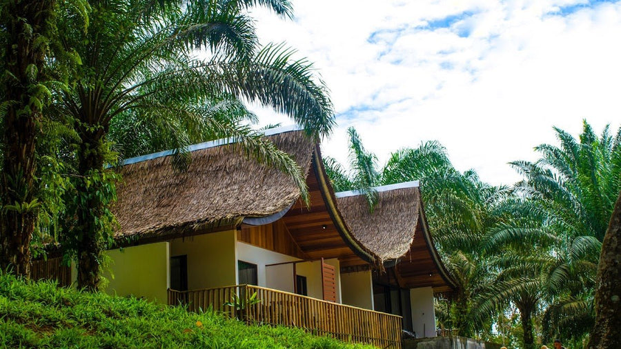 Zen Forest Malaysia, Bentong — Glamping Done Right in Pahang - TAHAN Outdoor