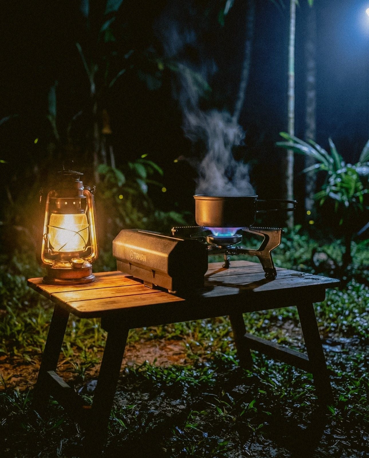 Customer review image