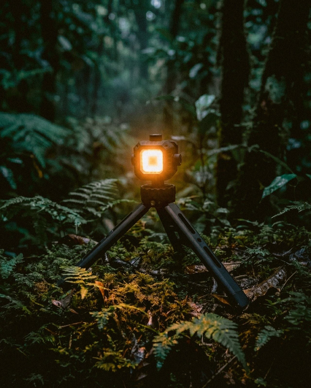 Customer review image