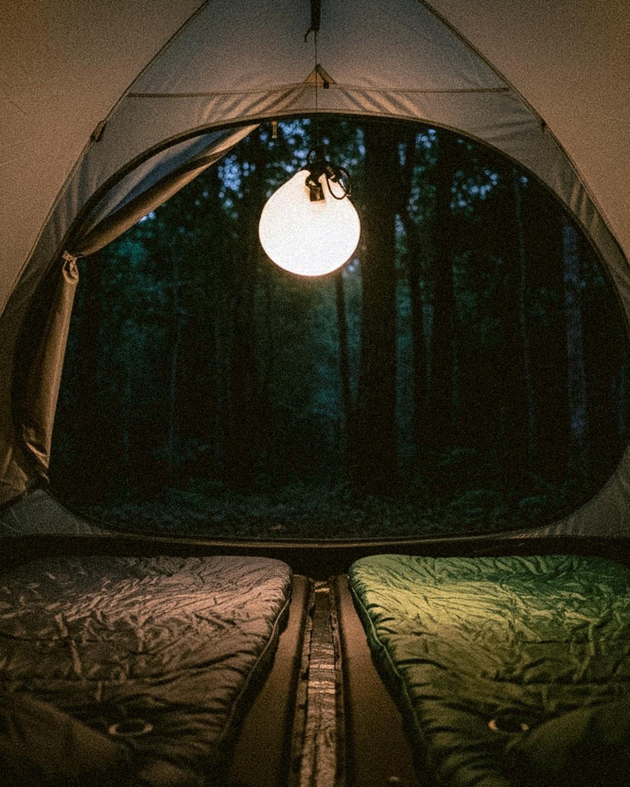 Customer review image