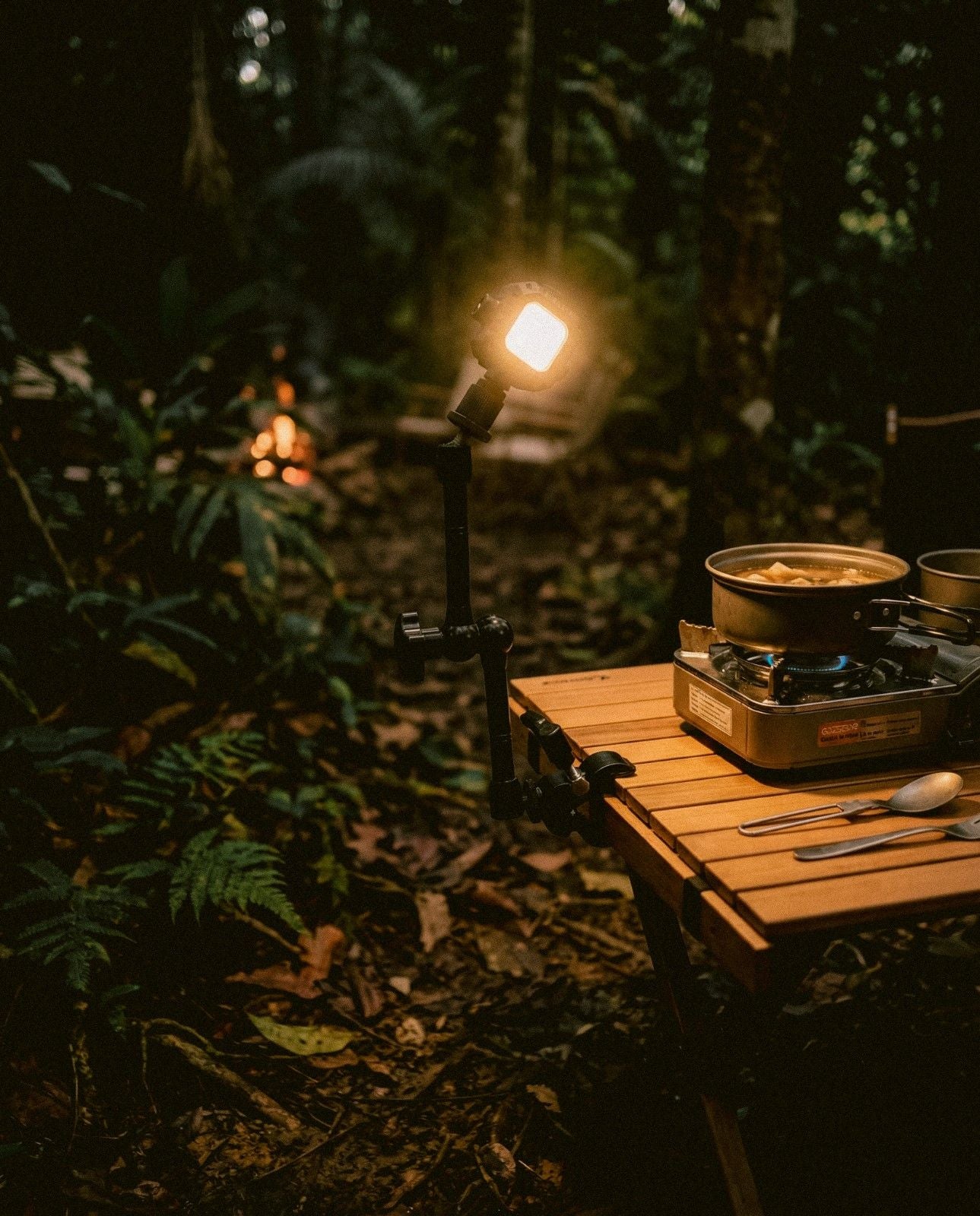 Customer review image