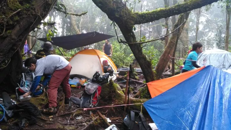 Hiking - Why Do I Hike? | TAHAN hiking, hiking tips, ptt outdoor, fun hiking, enjoy your hiking