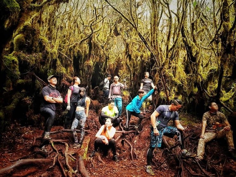 Conquering Gunung Irau, A basic walkthrough guide - Mount Irau Adventure Time | TAHAN Conquering Gunung Irau, A basic walkthrough guide – Mount Irau Adventure Time