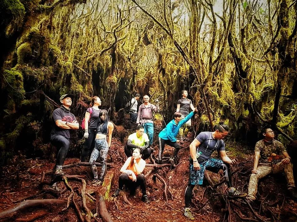 Conquering Gunung Irau, A basic walkthrough guide - Mount Irau Adventure Time, TAHAN, Cyrus Shan 2 jpg,