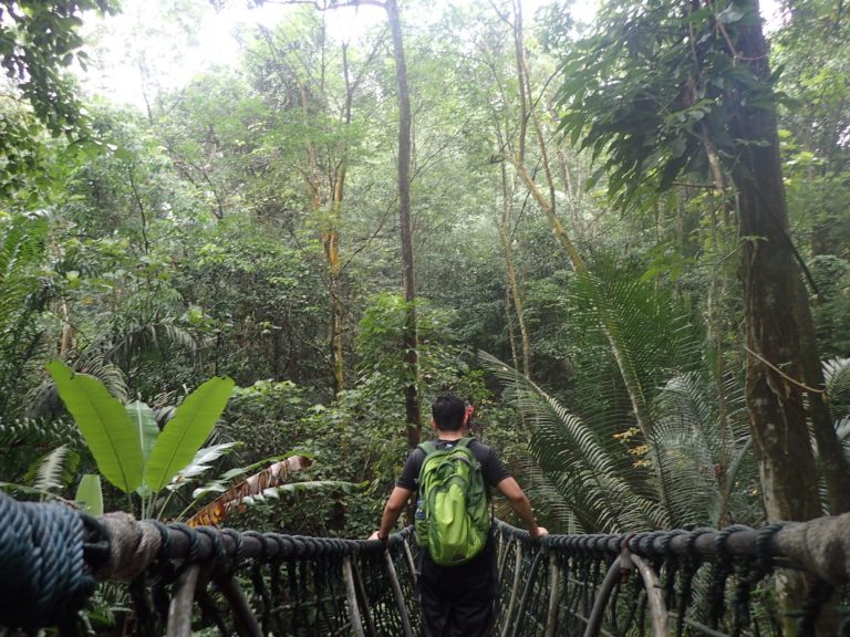 The Ultimate Guide to Hiking Places In Kuala Lumpur | TAHAN The Ultimate Guide to Hiking Places In Kuala Lumpur