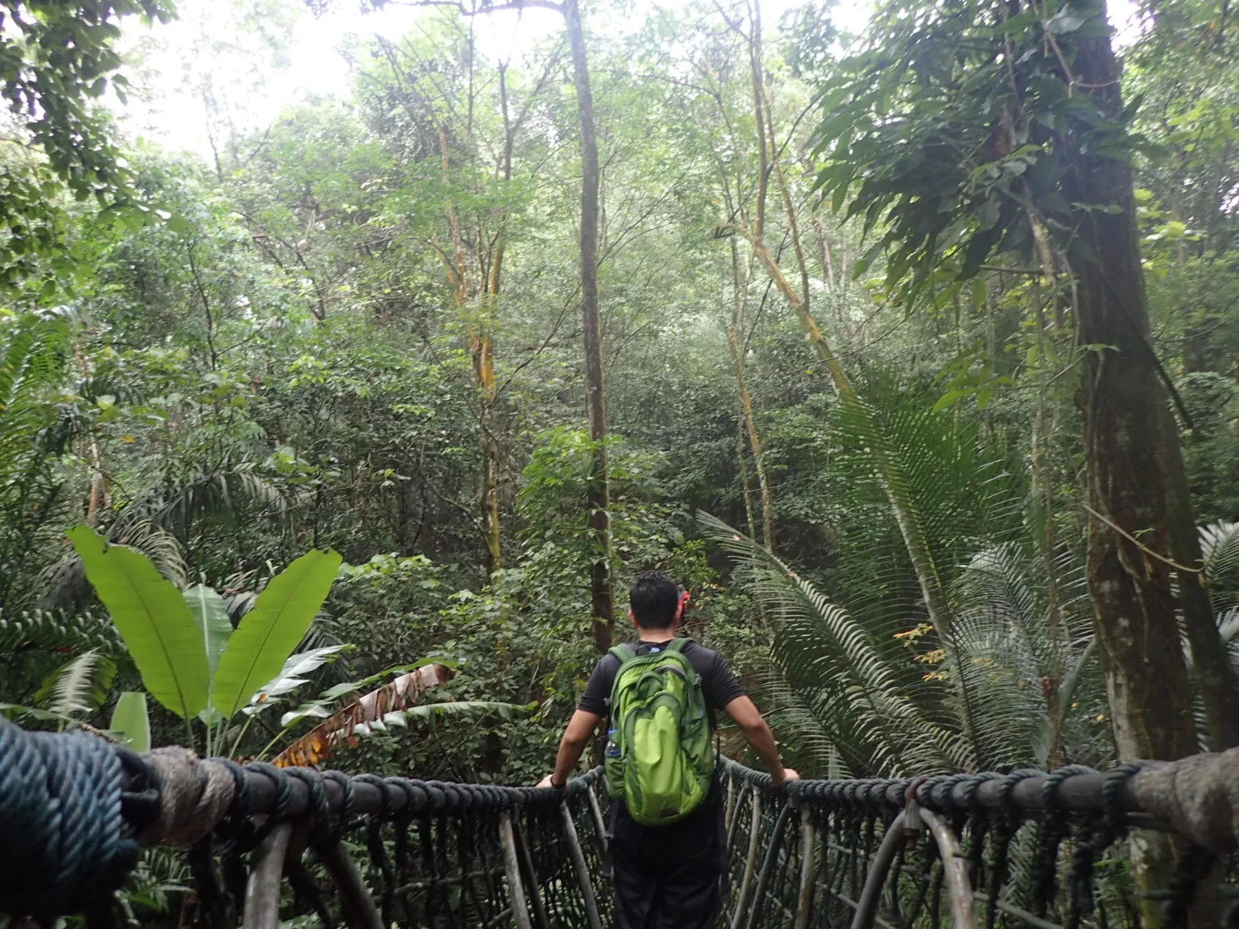 The Ultimate Guide to Hiking Places In Kuala Lumpur, TAHAN, P1010570 jpg,