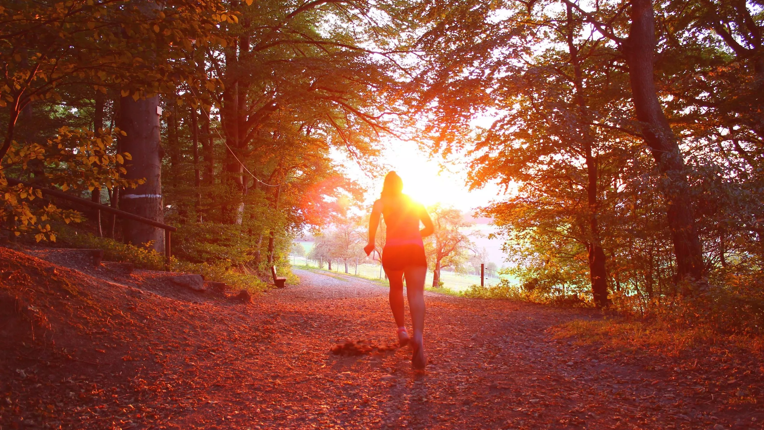 The Ultimate Trail Running Checklist | TAHAN The Ultimate Trail Running Checklist, TAHAN, nathalie desiree mottet lRKM2STBj14 unsplash e1641956482829 scaled jpg,