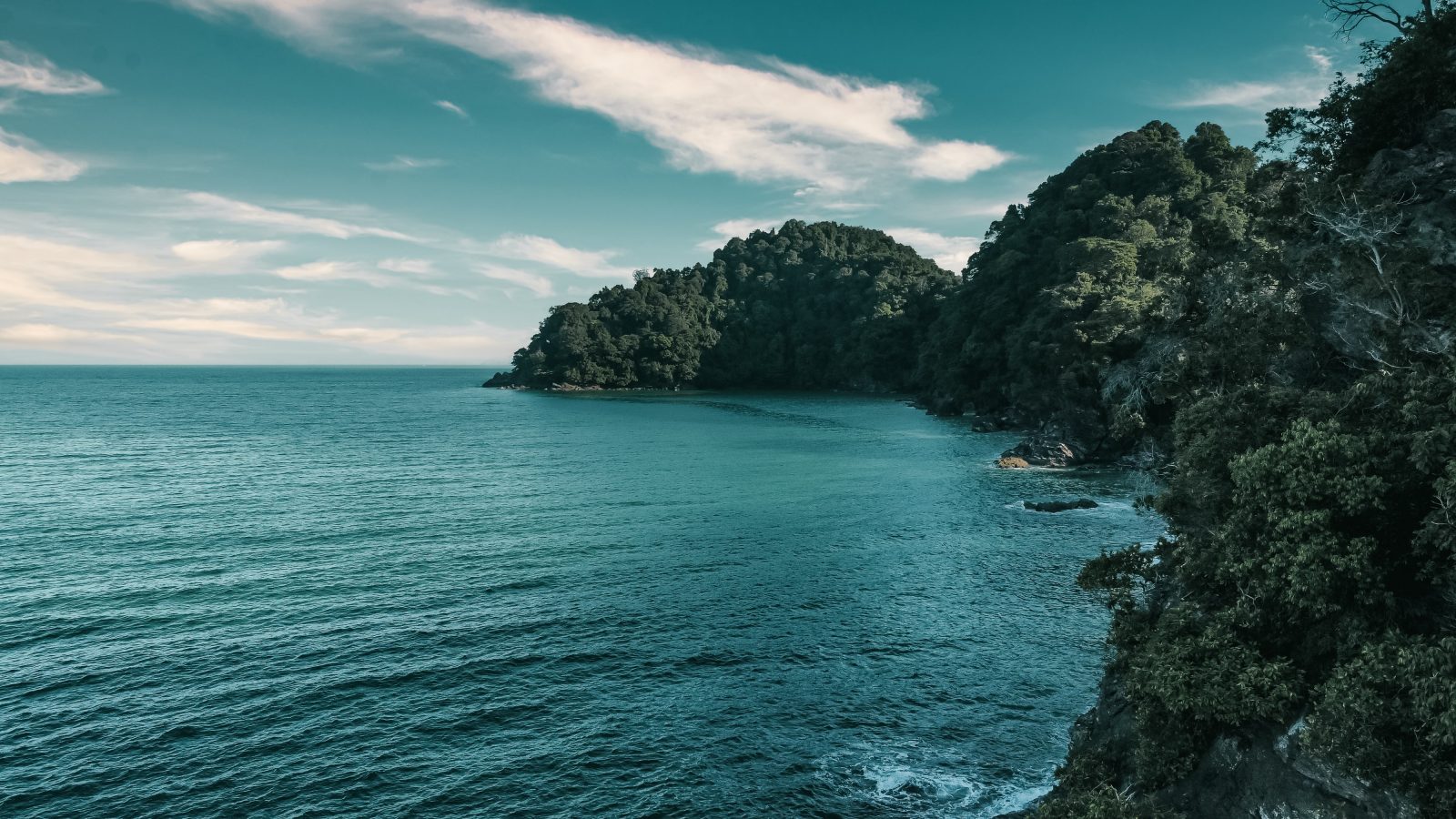 Top 3 Hiking Spots to Dominate in Penang, TAHAN, rem tadeo B Fikg4cDM unsplash,