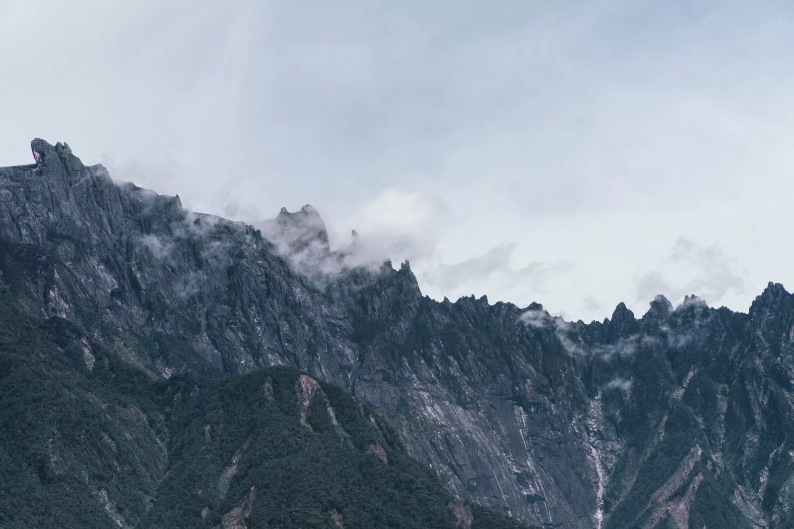 Best 7 Hiking Trails in Sabah Any Hiking Junkie Would Enjoy | TAHAN Best 7 Hiking Trails in Sabah Any Hiking Junkie Would Enjoy, TAHAN, esmonde yong ZX3OIQU znM unsplash jpg,