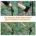 Camping Peg Ground 30CM Nail (3)