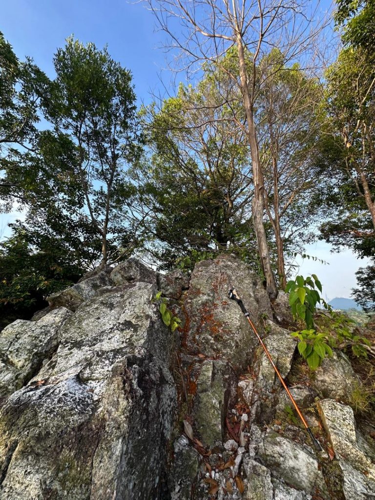 TAHAN 3-Section Hiking Stick - Bundle of 2, TAHAN, 20250521 110118,