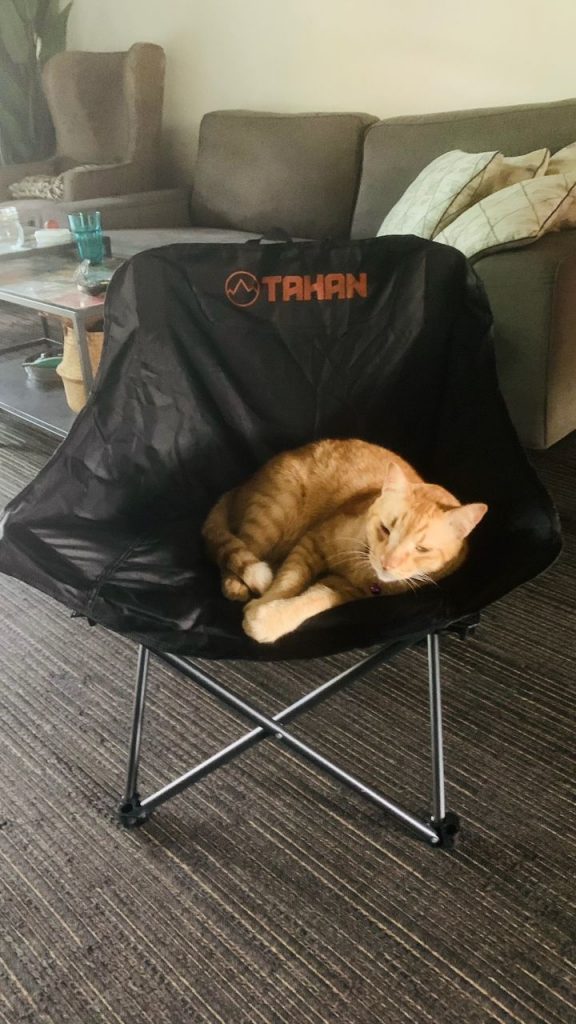 TAHAN Flexlite Compact Chair, TAHAN, 20250521 110619,