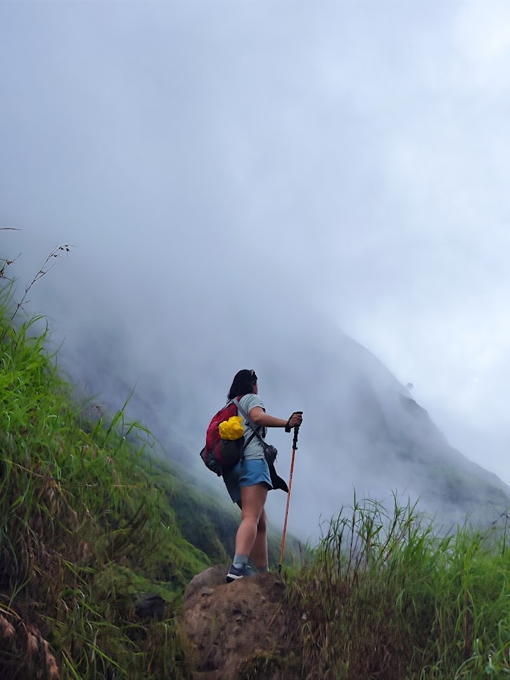 TAHAN 3-Section Foldable Hiking Stick V2 - 130cm | TAHAN TAHAN 3-Section Foldable Hiking Stick V2 - 130cm, TAHAN, 20250522 140038,