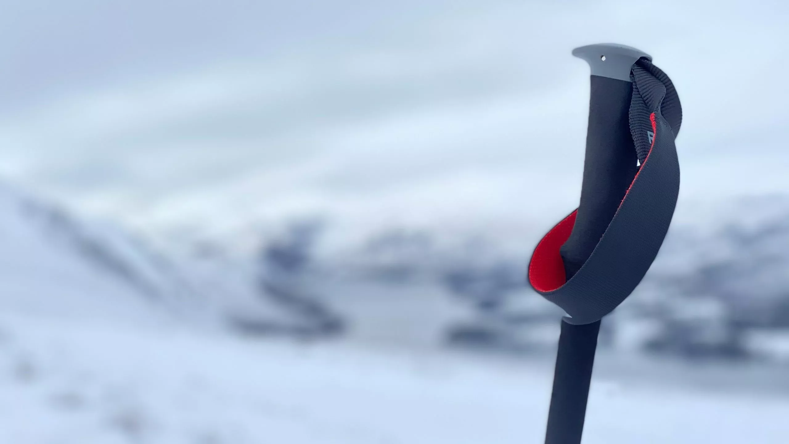 8 Alternative Uses for Hiking Sticks | TAHAN 8 Alternative Uses for Hiking Sticks, TAHAN, 8 Alternative Uses for Hiking Sticks scaled 1 jpg,