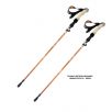 TAHAN 3 Section Foldable Hiking Stick V2 130cm Combo