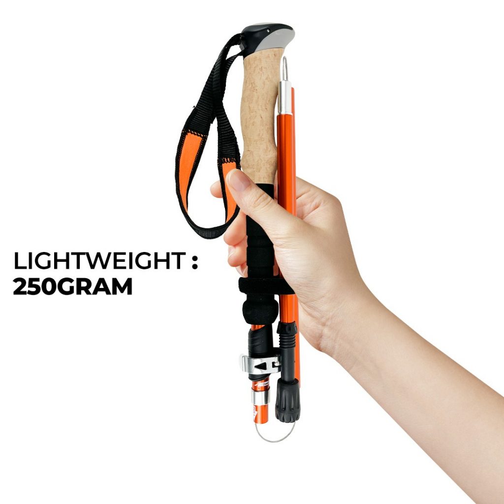 TAHAN 3-Section Hiking Stick - Bundle of 2 | TAHAN TAHAN 3-Section Hiking Stick - Bundle of 2, TAHAN, tahan 3 section foldable hiking stick weight,